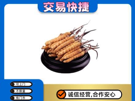 沙依巴克区礼品回收散虫草.jpg